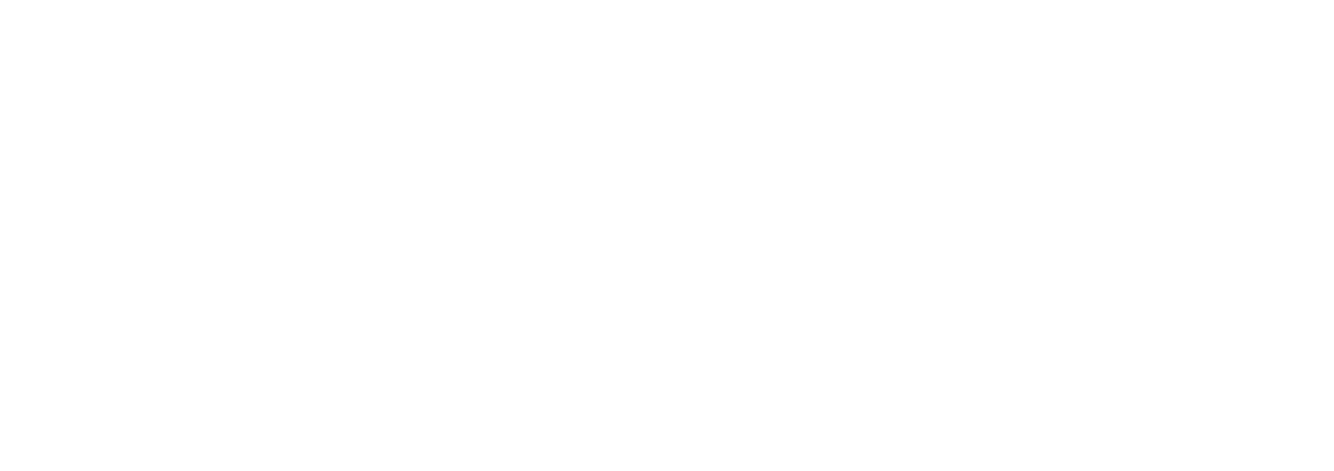 今すぐ動画をチェック