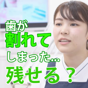 予防歯科 口腔ケアの歯医者さんtv